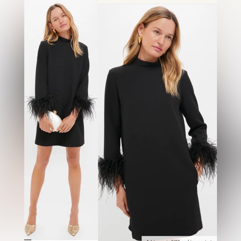 Tuckernuck Black Feather Mod Ellie Dress , Large